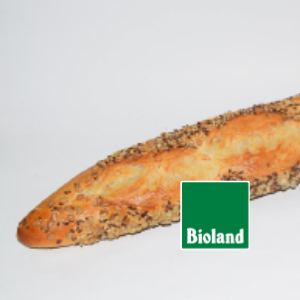 Saatenbaguette