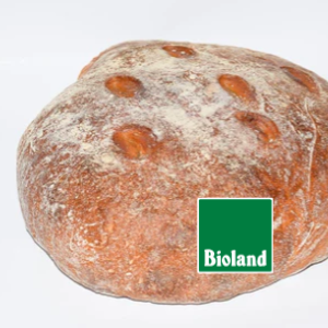 Schaeferlaible