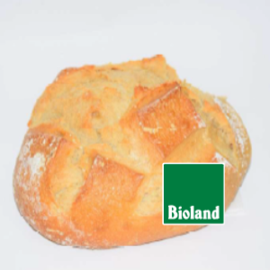 Kartoffelkruste