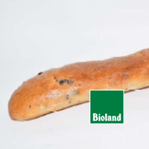 Olivenseele